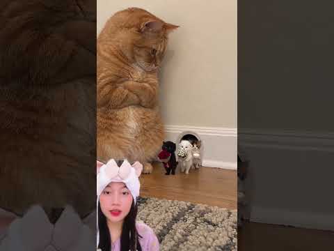 Surprise hari ibu kocheng⁉️ ValentinLoiseauAI