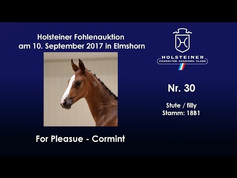 Nr. 30 v. For Pleasure - Cormint