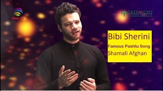 Download lagu Bibi Sherini song -Singer:  Shamali Afghan, Talha Masood & Chris Birkett @TAGTV mp3