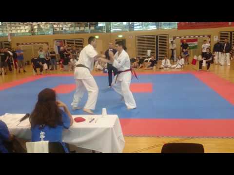 Shinkyokushin Austrian Open 2017 | Emanuel Lebo - Radics Istvan | Quarter Final +85kg
