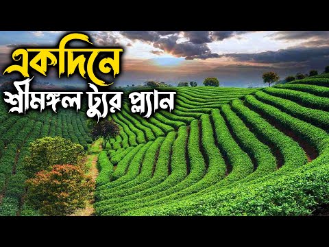 একদিনে শ্রীমঙ্গল ট্যুর প্ল্যান !! Sreemangal Tour