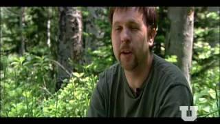 The Western Soundscape Archive - Preserving nature's soundtrack