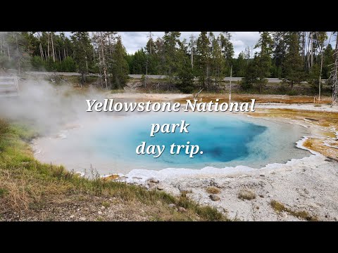 Yellowstone National Park Day Trip | Scenic Views & Wildlife Encounters