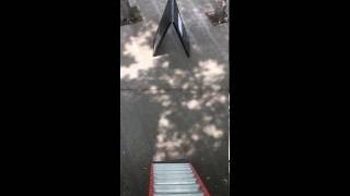 Video from Parque Experimental El Eco.