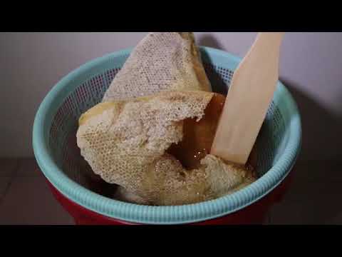 Harvesting wild honey video