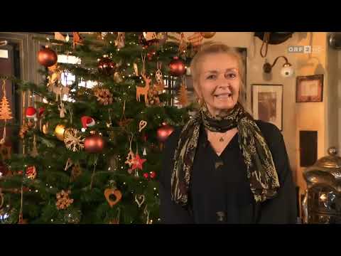 ORF 2 [HD] Seitenblicke Spezial (Society Magazin) Seitenblicke am Feiertag Neujahr 01. Januar 2024