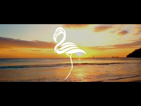 Youtube Photo
