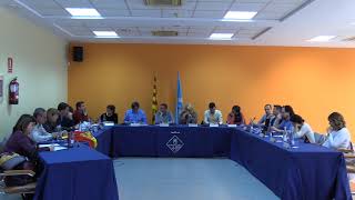 Ple municipal extraordinari d'11 d'abril de 2019