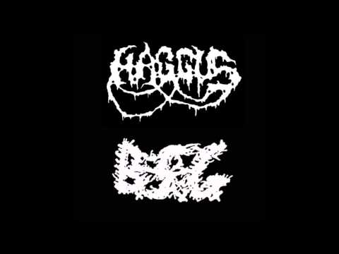Haggus - Split w/Big Scary Guys (2017 - Mincecore/Goregrind)