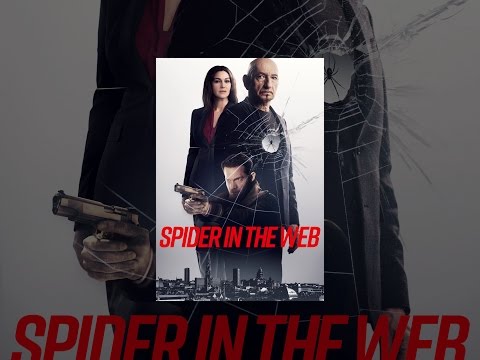 Spider in the Web