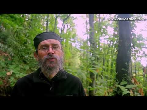 Zelul, dragostea, smerenia - P. Teologos