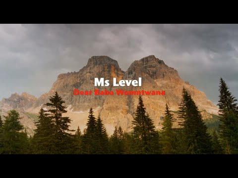Ms Level - Dear Baba Womntwana (Official Lyric Video)