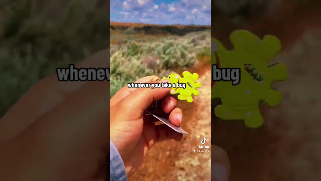 What do you do if you find a travel bug hidden inside of a geocache? Watch this to find out! 👀