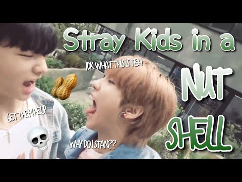 Stray Kids in a NUTSHELL