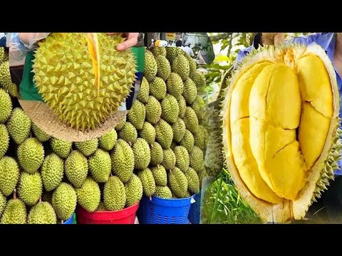 Amazing! Ripe Durian Cutting Skills Master Collection - Thailand Street Food - Cambodian Street Food