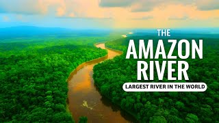 The Amazon River - Largest River in the World