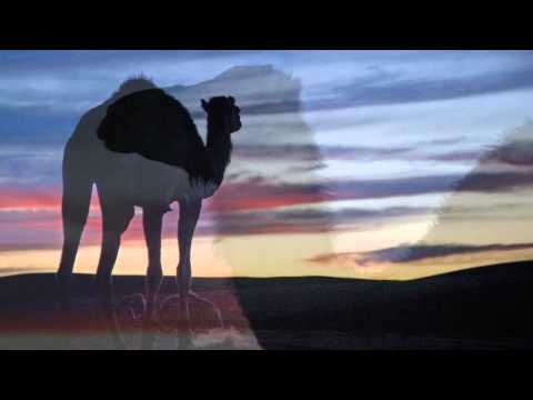 Bad Days:Sahara Desert.mov