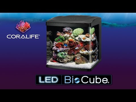 Coralife LED Bio Cube 32 / 16 gallon all in one aquariums for saltwater or freshwater