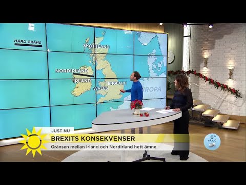 Brexit - Oenighet om den irländska ön ska delas mitt itu - Nyhetsmorgon (TV4)