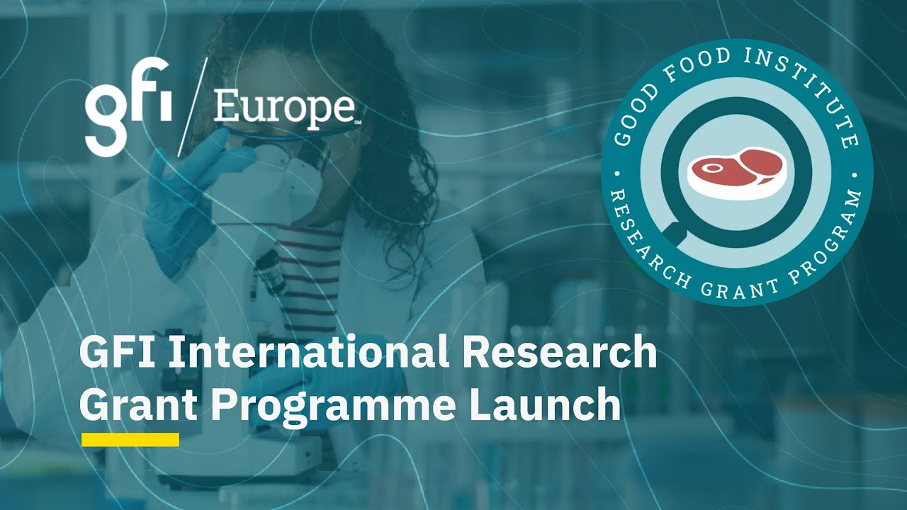 Introduction to the GFI Research Grant Programme 2024 for European applicants
