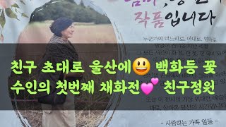 수인의 채화전(울산시 울주군)???? 친구 초대로 초등친구들 번개모임???? 백화등 등 예쁜 꽃들과 친구작품…