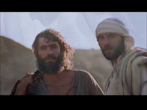 Il pentimento e la conversione: le due versioni celebri del Battista.