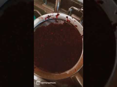 How To Make Sea Moss Gel with Jamaican Sorrel