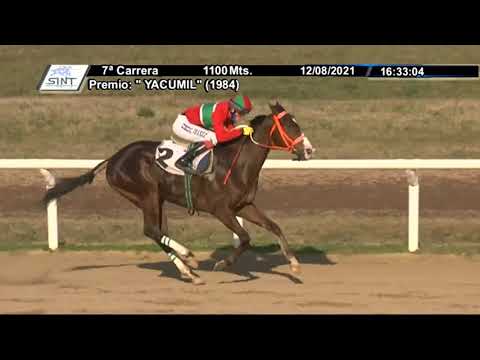 CARRERAS SINT PAYSANDÚ - 210812 c07 1° EL SARAGON