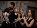 J.S.Bach Concerto for Oboe & Violin in D minor BWV 1060
