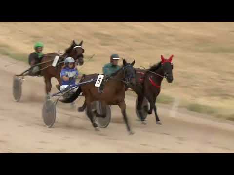 2022.07.23. 04. futam - NYERETLEN KÉTÉVESEK VERSENYE