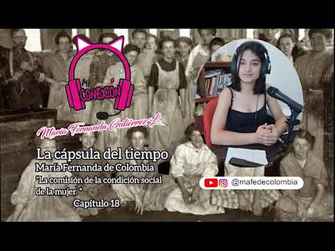 Miniatura: capitulo 18 La comisión de la condición social de la mujer en el siglo XIX