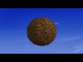 ICE AGE Scrat Gone Nutty 2002 Television Series