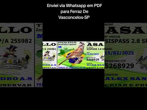 Enviei via Whatsapp em PDF para Ferraz De Vasconcelos-SP 🔥🫅