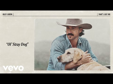Miniatura de Ol’ Stray Dog