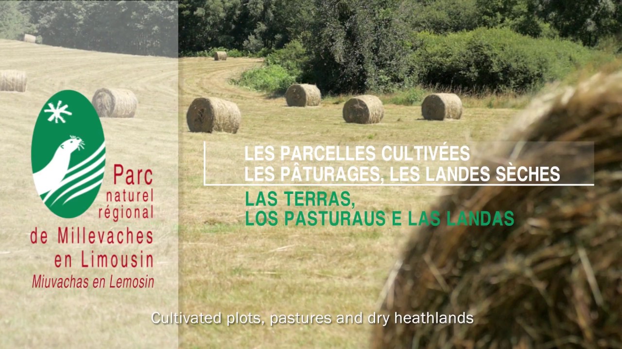 Parcelles cultivées, pâturages et landes sèches du Parc naturel régional de Millevaches en Limousin