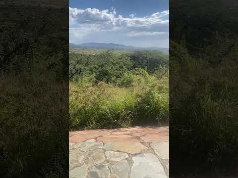 Could This Be Your Afternoon View in Africa?