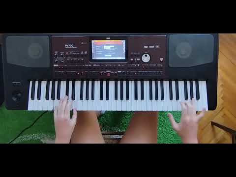 Tigar kolo - Borko Radivojević / učenik Marko Đ.