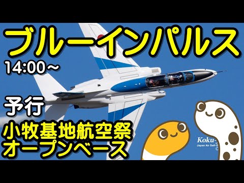 小牧基地航空祭・オープンベース ブルーインパルス ライブ配信アーカイブ 15 のサムネイル