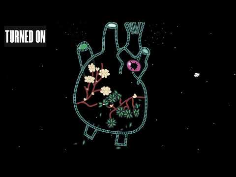 Donnie Moustaki - Doobie Moustaffi