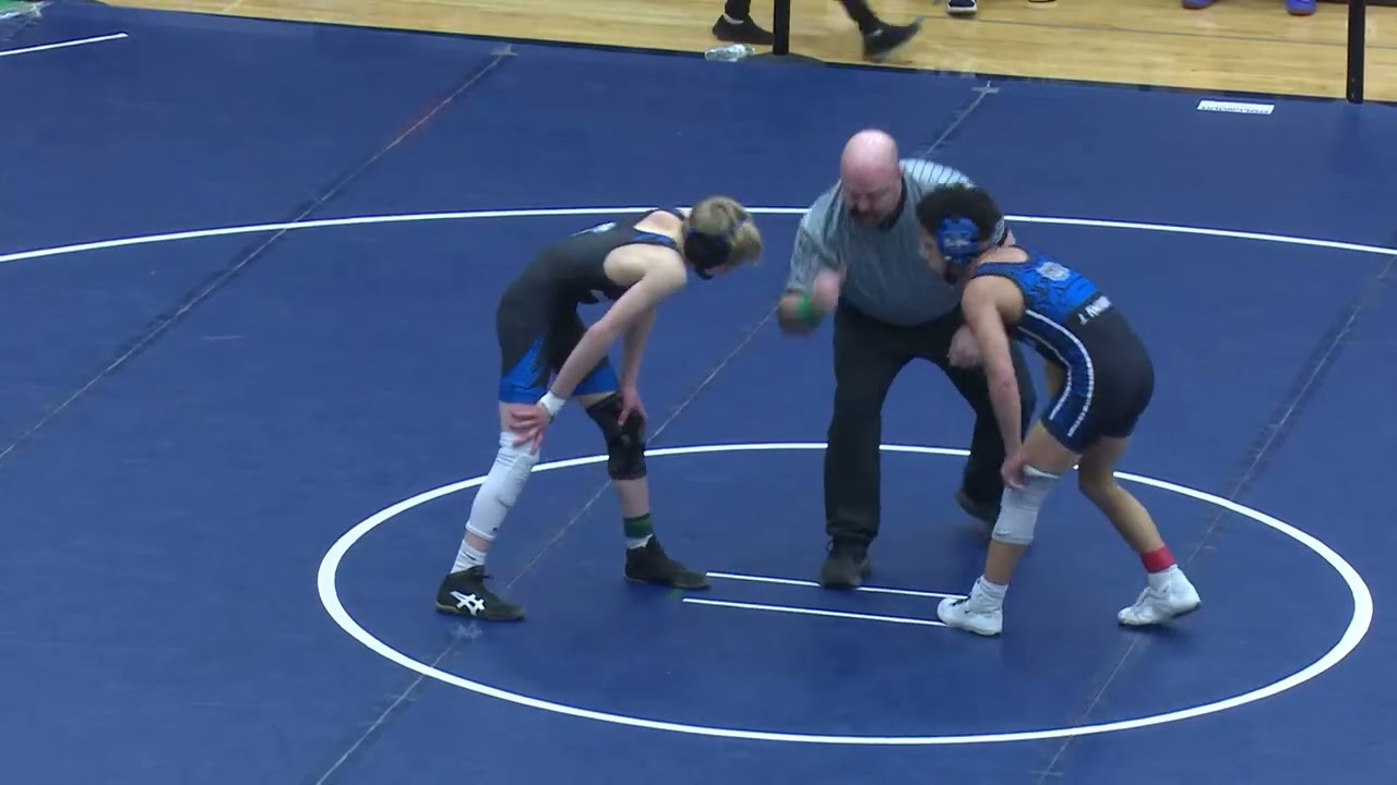 OHSAA D1 Wrestling District Finals - March 1, 2025