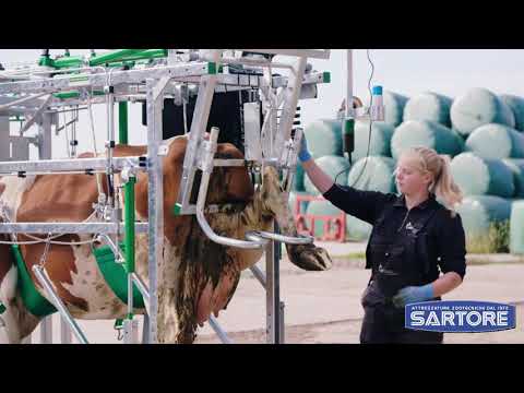 ARLA TRAVAGLIO CURAZOCCOLI BOVINI TIPO L HYDRA - PROFESSIONALE IDRAULICO