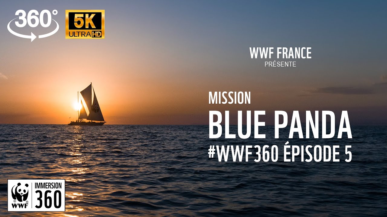 WWF France, série Mission Blue Panda immersion à 360 degrés, épisode 5 avec Kevin Mayer à bord du voilier scientifique Blue Panda en Méditerranée