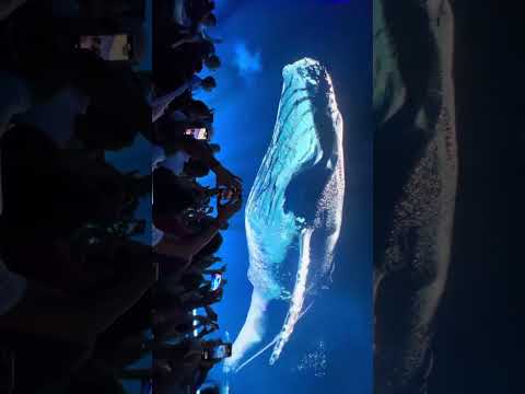 Eric Prydz HOLO Ibiza - Hï Ibiza 2023