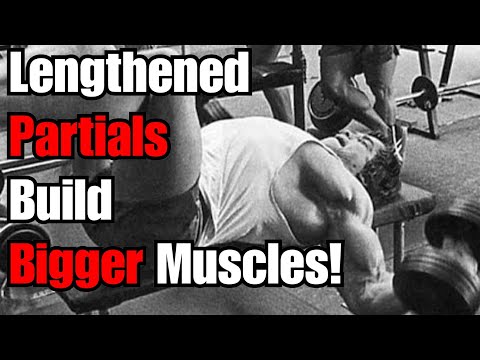 Lengthened Partials Build Bigger Muscles! (Drs Mike Israetel & Milo Wolf, PLUS 2 Mr Olympias agree!)