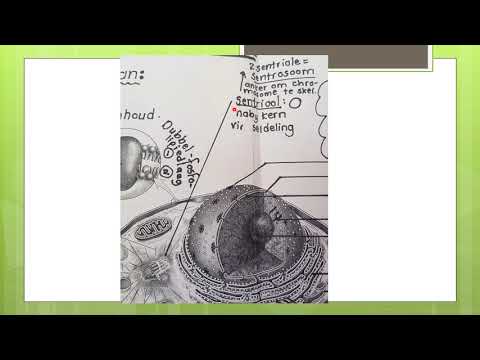 LEWENSWETENSKAP GRAAD 10: 13 Mei 2020 - periode 7 (13107)