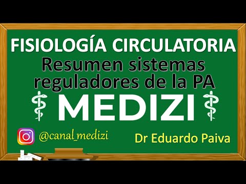 Class 31 Circulatory Physiology - Summary of BP regulatory systems (IG:@doctor.paiva)