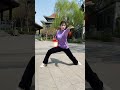 The Explosive Power Of Tai Chi Taichi Taijiquan Kungfu Shorts