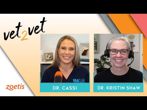 We Can Finally Help Our Cat Patients with OA! | A Vet2Vet Conversation