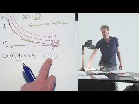 The optimal consumption plan: Household optimum (complete) (9.6)
