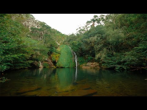 Estancia Caa Porá - 1187 HAS. QUEBRADA DE LOS CUERVOS.TREINTA Y TRES